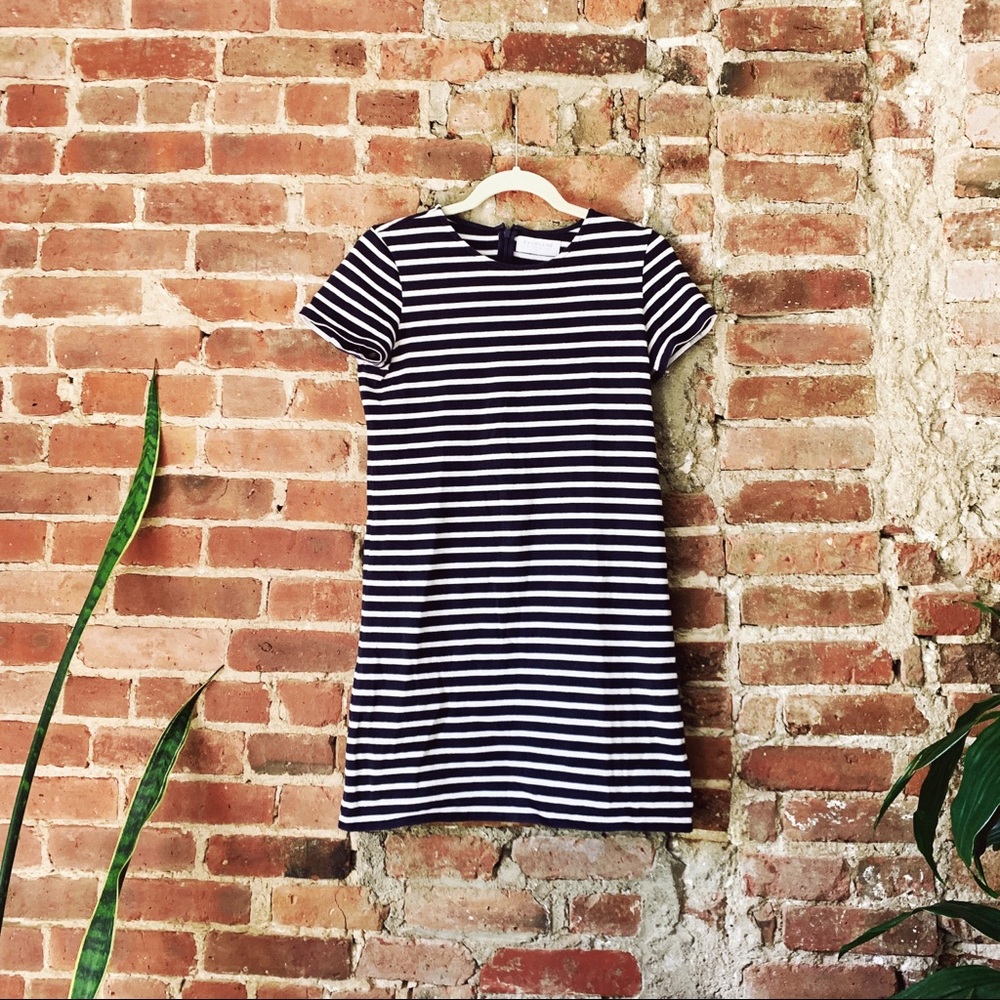 Everlane T-Shirt Dress
